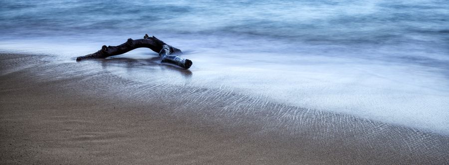 Horizons — 14