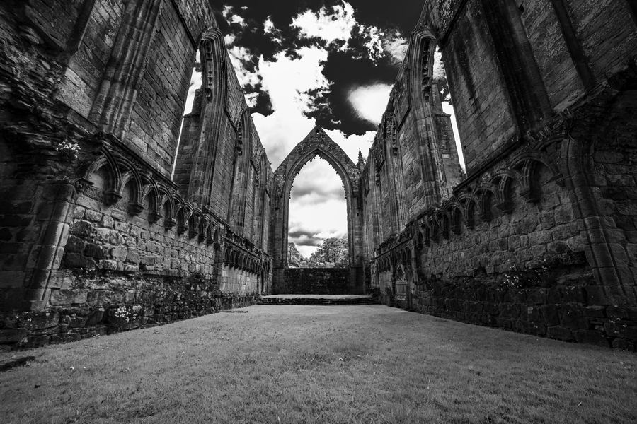 Monochrome — 11