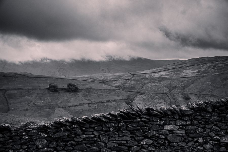 Monochrome — 12