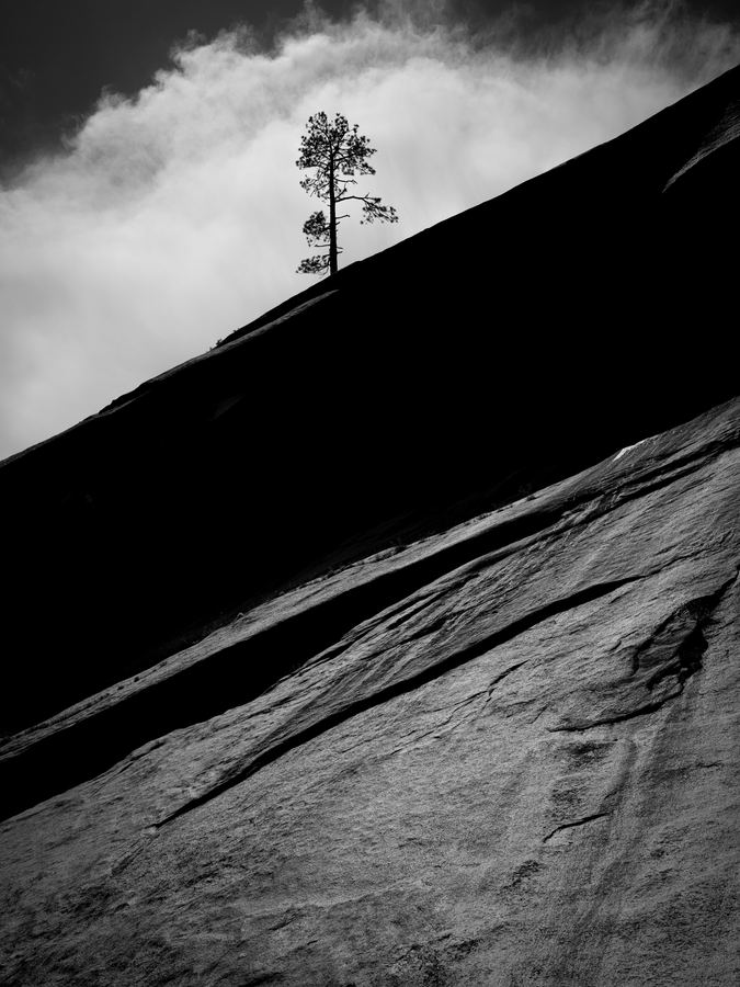 Monochrome — 04