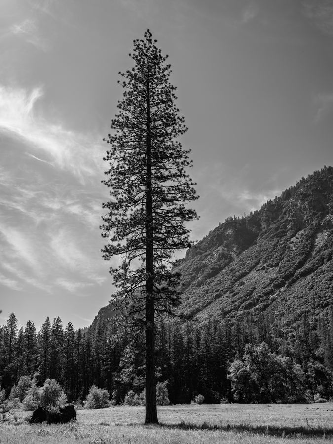 Monochrome — 02